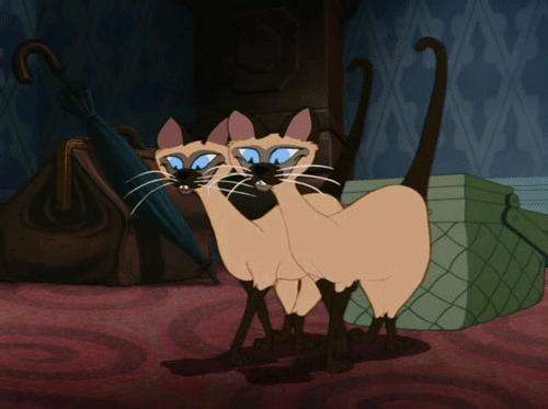 Rate this Full length Disney Animated Feature: Lady and the Tramp?