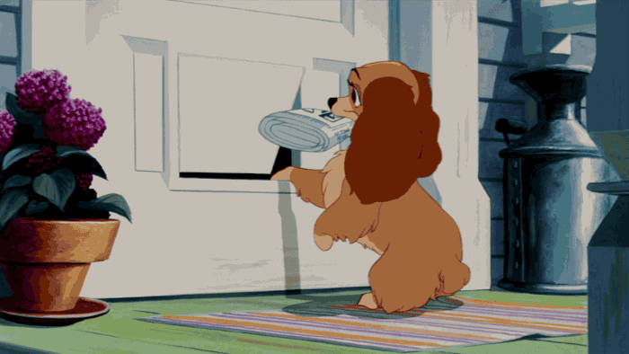 Rate this Full length Disney Animated Feature: Lady and the Tramp?