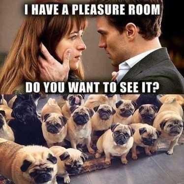 What is your Pleasure room full with??