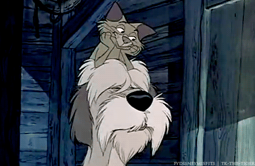 Rate this Full length Disney Animated Feature: One Hundred and One Dalmatians?