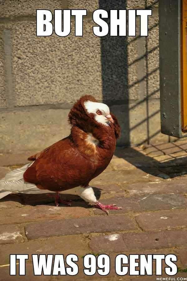 Do you think you're sexy?