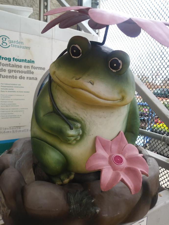 Could you see this picture as being part of a meme? If so, what funny text would you put in front of it?