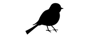 Do you prefer to use a picture of yourself for your profile picture or some kind of graphic.?