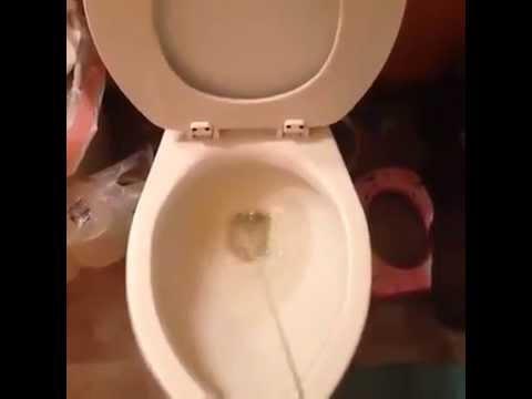 Girls, do you clearly notice sticky urine or its appearance after a man has gone to the bathroom in your house?