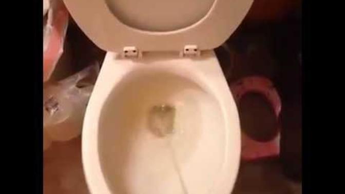 Girls, do you clearly notice sticky urine or its appearance after a man has gone to the bathroom in your house?