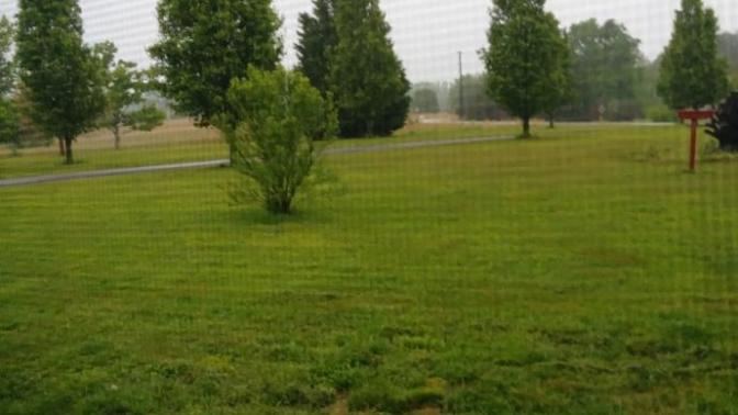 Its all wet and rainy here in Georgia?