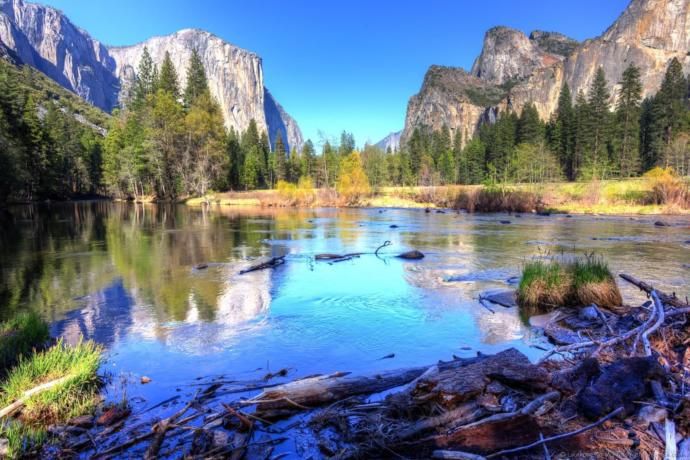 Where would you rather go for a vacation: A national park or a city in Europe?