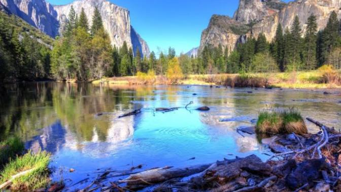 Where would you rather go for a vacation: A national park or a city in Europe?