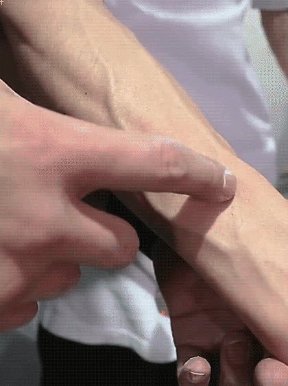 Do you like veiny arms???
