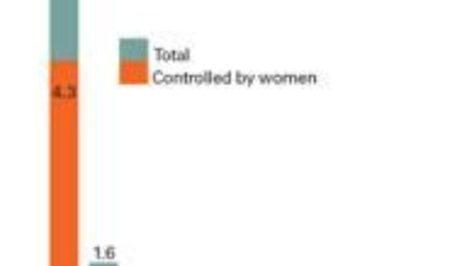 Why are women such voracious consumers?