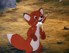 Rate this Full length Disney Animated Feature: The Fox and the Hound?