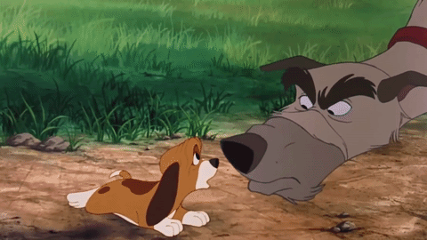 Rate this Full length Disney Animated Feature: The Fox and the Hound?