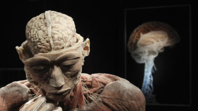 US govt counterterrorism center accidentally releases ‘remote mind control’ documents, do you still trust your Government after knowing this?