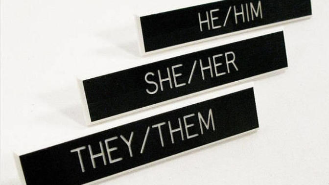 Would you ever refer to someone with the pronouns 'Ze' or 'Zir'?