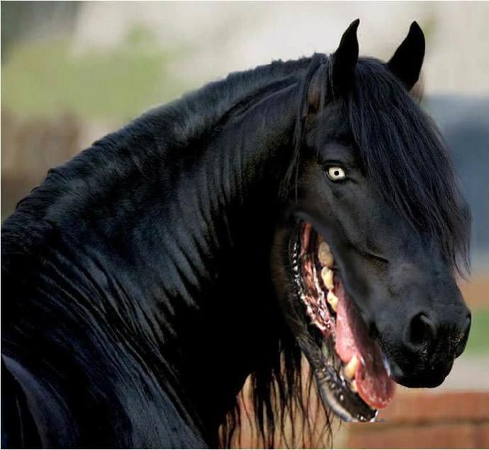 Have you eaten it or not?