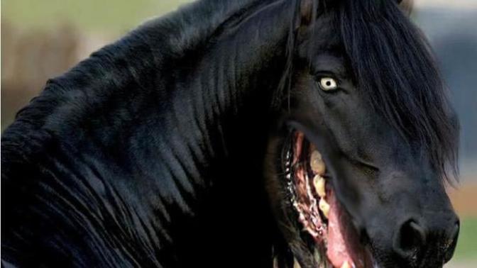 Have you eaten it or not?