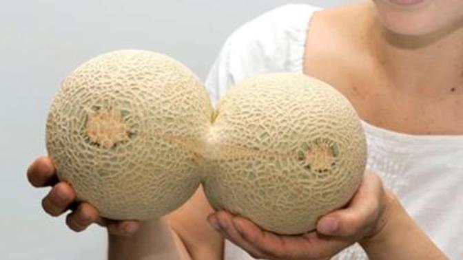 Rate my melons?