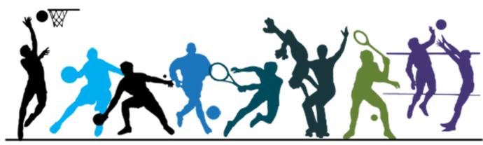 What sport did/do you excel in at school?