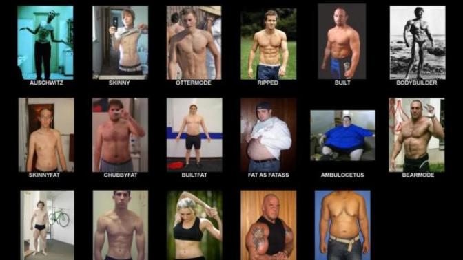How much does body type matter to women?