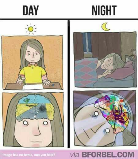 Why is my brain not working during day?