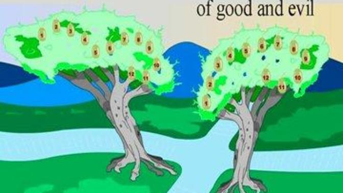 Hypothetical Question: What would have happened if Adam did not sin, and only Eve ate the fruit?