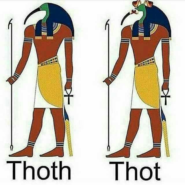 What's your opinion on thots?