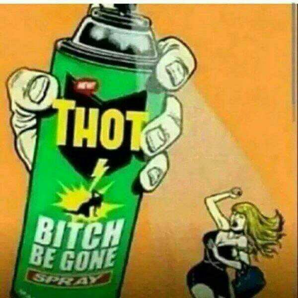 What's your opinion on thots?