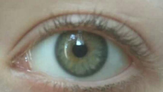 What eye colour is this? Hazel? Green?