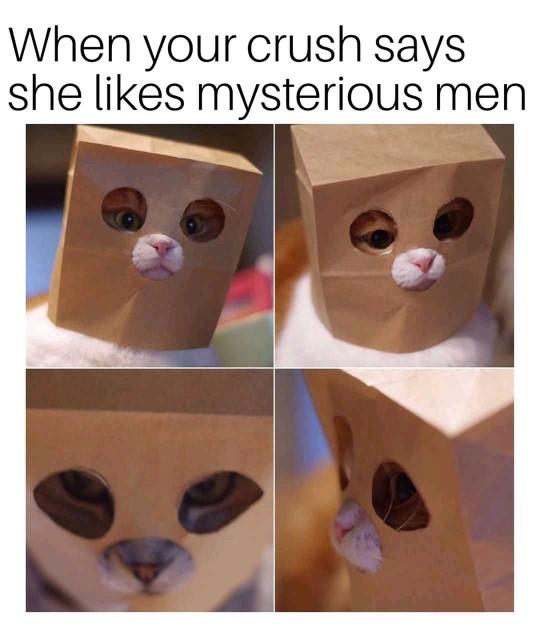 If a guy is mysterious, is that attractive for girls? Why or why not?