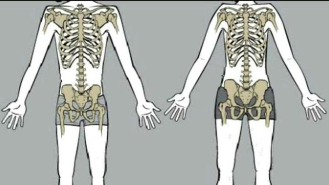 How can I get a v taper when my hips are bigger than my ribs?