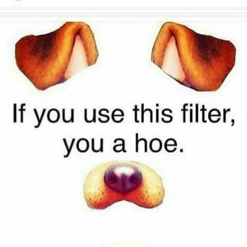 Do you agree that picture filters/Snapchat filters are stupid?