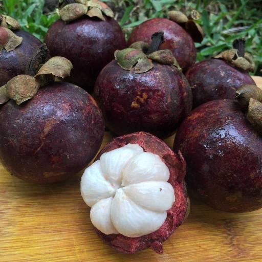 Has anyone here tried mangosteen before?