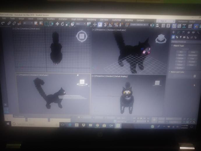 Rate my 3d animation computer model of cat. Do you think it looks good?