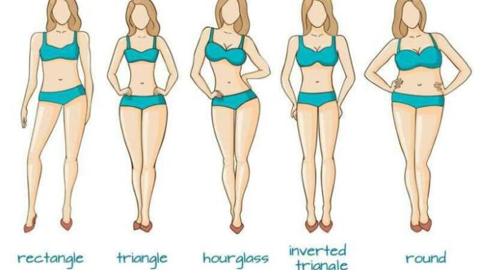 Types of body shapes?