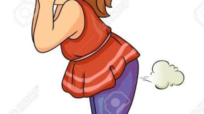 Girls, how often do you fart?