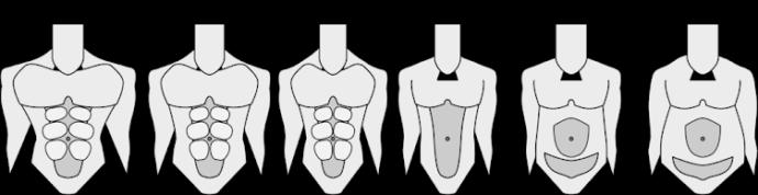 What type of body are you attracted to / finds attractive?