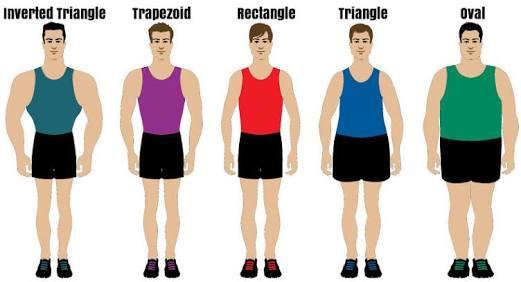 What type of body are you attracted to / finds attractive?