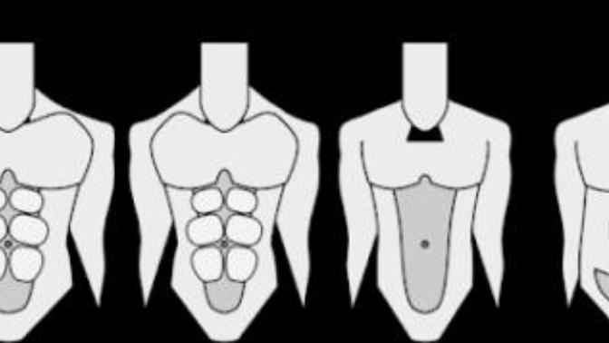 What type of body are you attracted to / finds attractive?