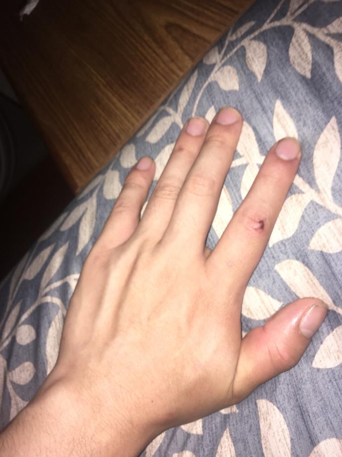 Are my nails too long?