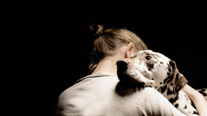 Should I have a pet while dealing with depression?