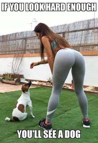 Why do all guys want girls like this?