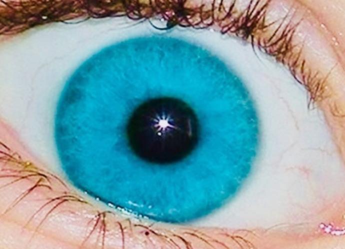 Which eye color is more attractive and beautiful?