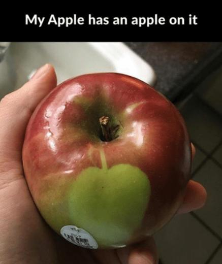 Has your apple ever had an apple on it?