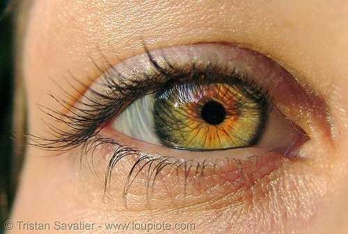 Which is your favorite eye color??