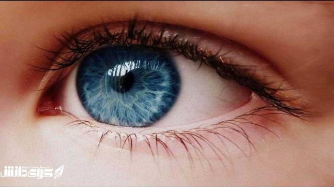 Which is your favorite eye color??
