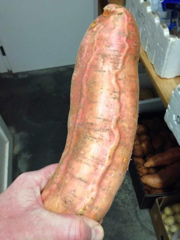 Is this a good size?