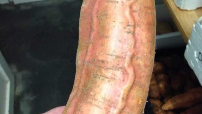 Is this a good size?