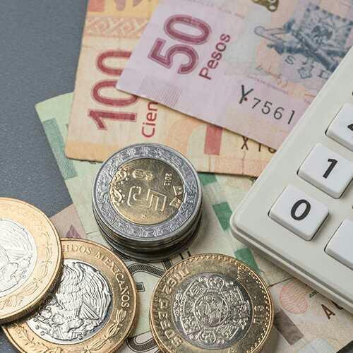 Would you allow your mother to take control of your finances?
