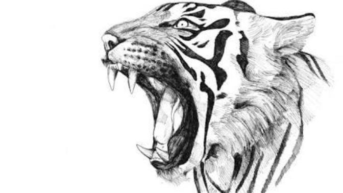 Can you draw a tiger 🐯 ?