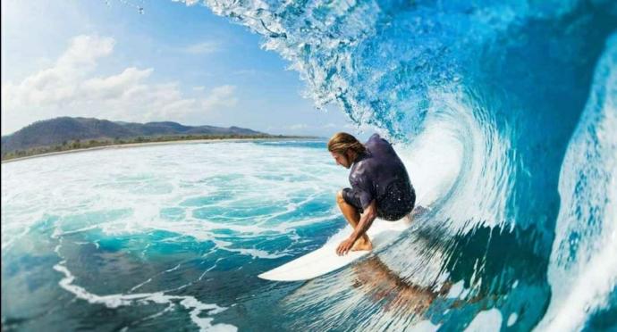Have You Ever Tried Surfing?